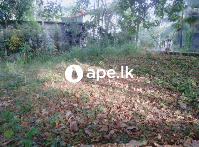 Land for sale  nittabuwa